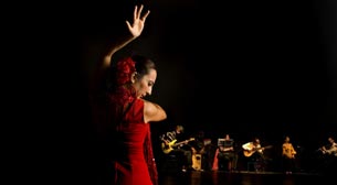 Ve şarkı... Derken Dans Ona Eşlik Etti: Flamenko 